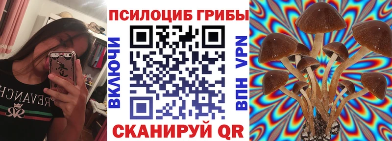 Купить  Амурск  Галлюциногенные грибы Cubensis 